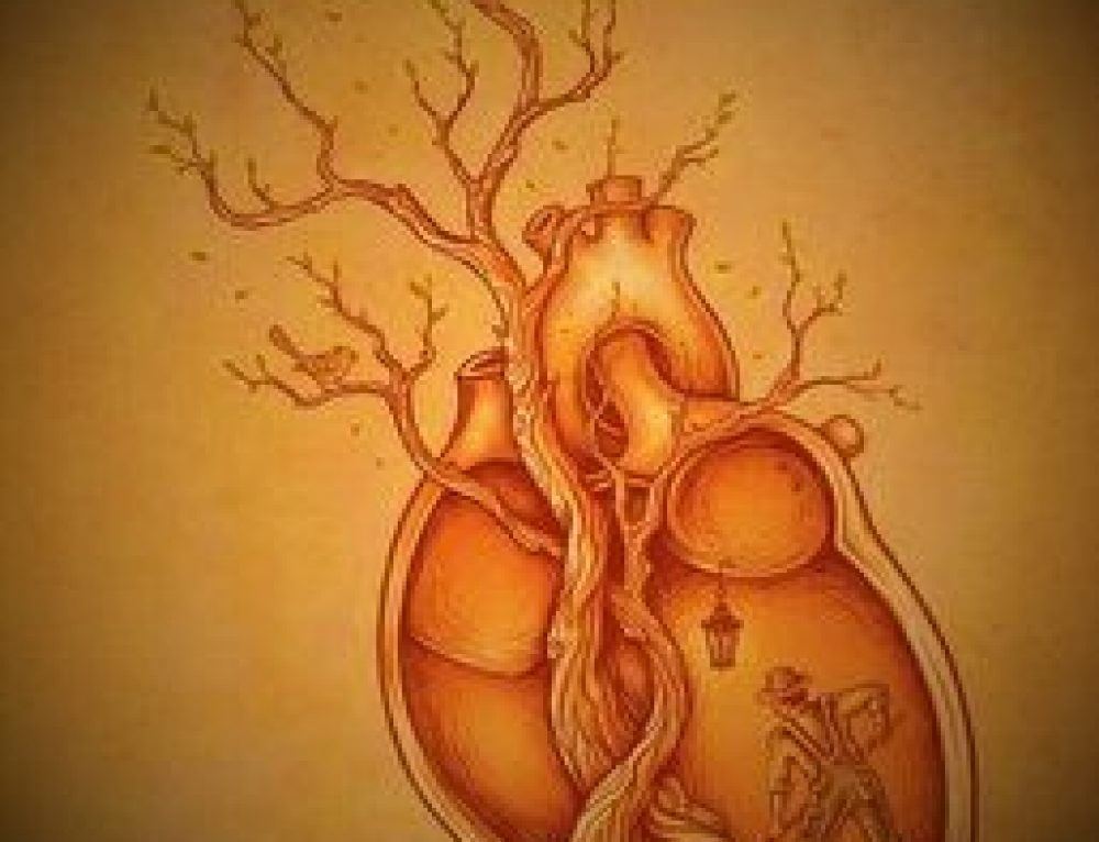 What if our hearts are the seeds that need nurturing right now